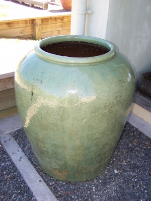Image of Chinese Celadon glazed water pot